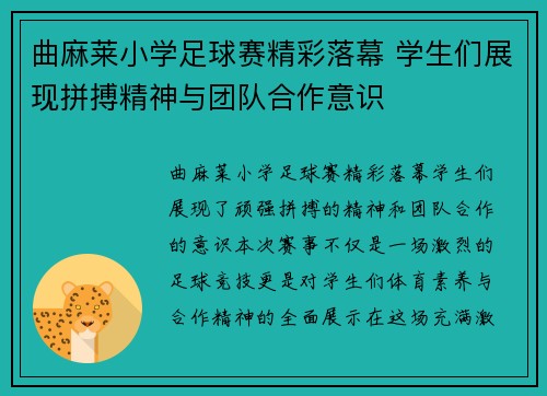 曲麻莱小学足球赛精彩落幕 学生们展现拼搏精神与团队合作意识