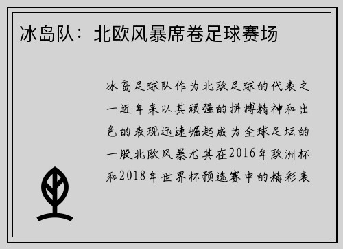 冰岛队：北欧风暴席卷足球赛场