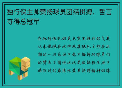 独行侠主帅赞扬球员团结拼搏，誓言夺得总冠军
