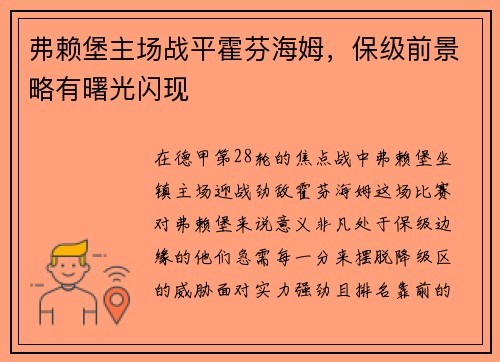 弗赖堡主场战平霍芬海姆，保级前景略有曙光闪现