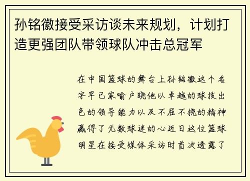 孙铭徽接受采访谈未来规划，计划打造更强团队带领球队冲击总冠军